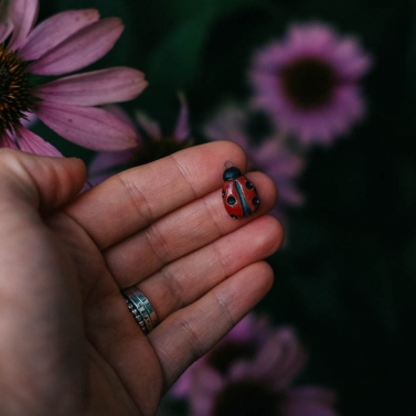 Ladybug charm 