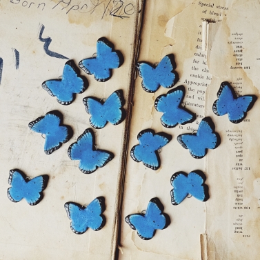 Blue Morphos 