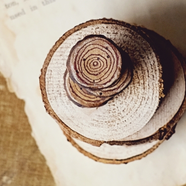 Tree Ring Focal Beads 