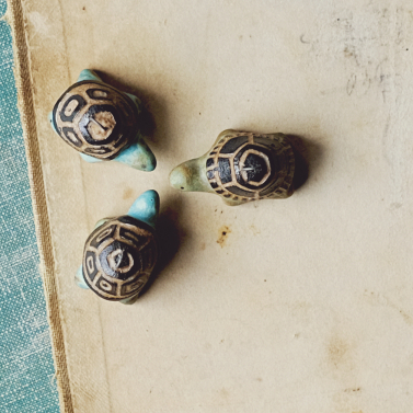 Tortuga charms 
