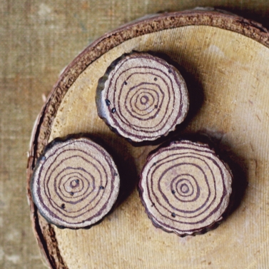 tree ring beads 