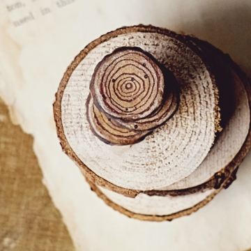 Tree Ring Focal Beads 