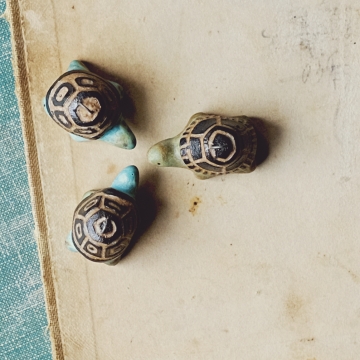 Tortuga charms 