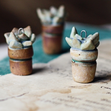 tiny potted succulents 