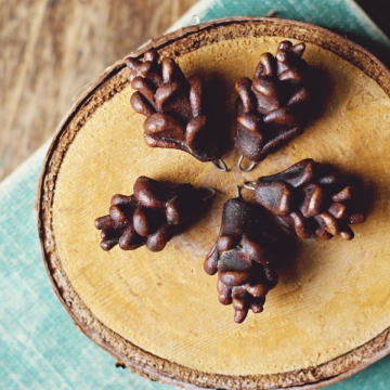 small pinecones 